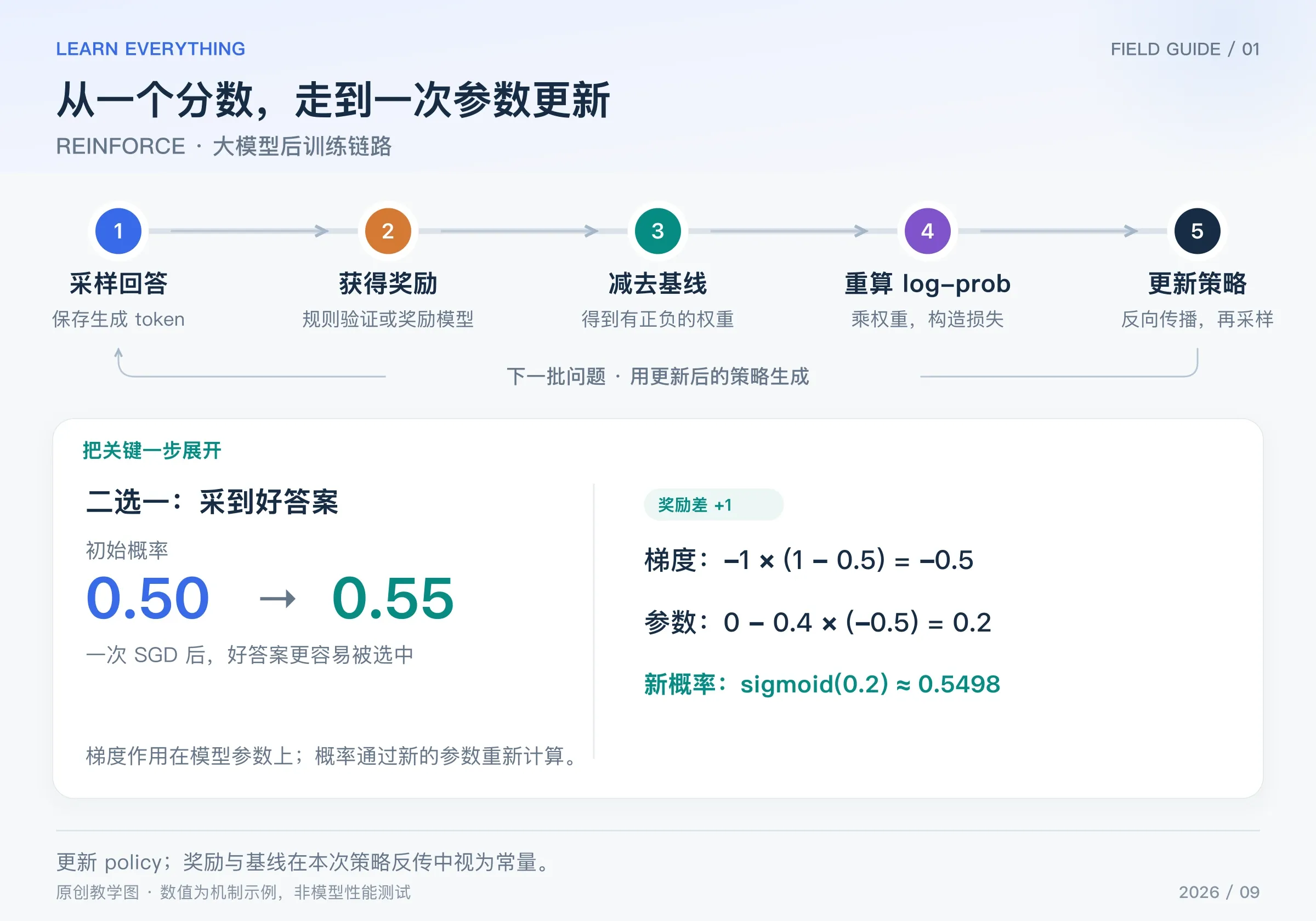 REINFORCE 的采样、评分、基线、log-prob 和参数更新五步，以及二分类 logit 的手算过程